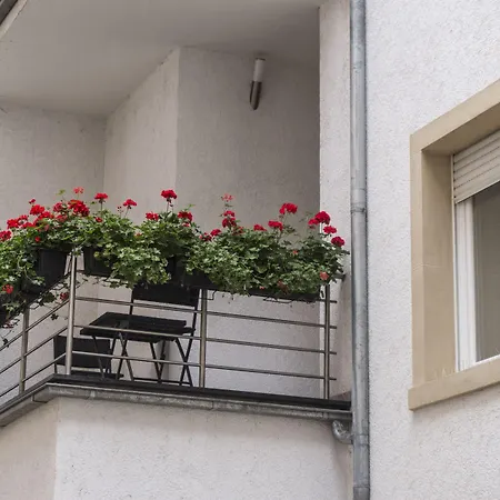 The Queen Luxury - Cortina Luxemburg