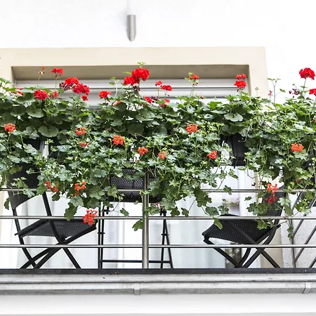 Apartamento The Queen Luxury - Cortina